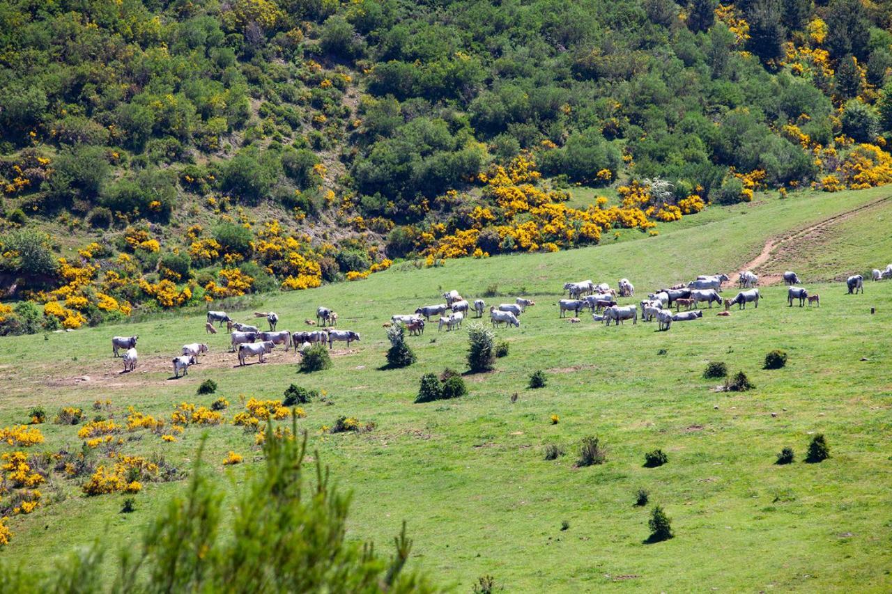 Casa Rural La Majada De Penacorada Fuentes de Penacorada Exterior foto